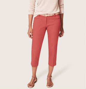 Colored Chinos Ann Taylor Loft